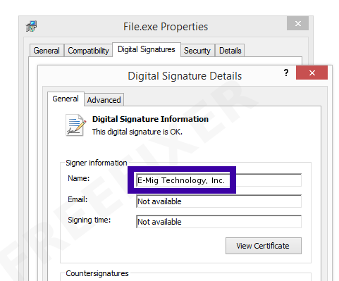 Screenshot of the E-Mig Technology, Inc. certificate